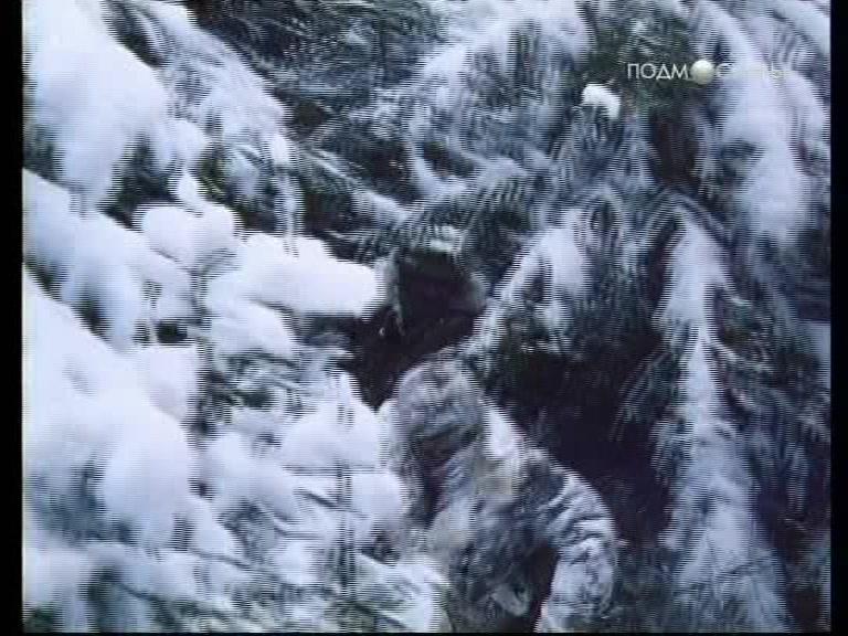 Фильм Свежина с салютом (2001)