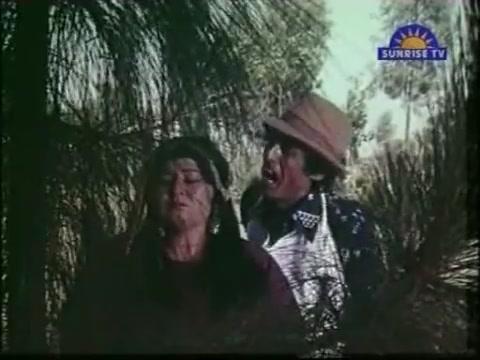 Фильм Любовь бесценна (1977)