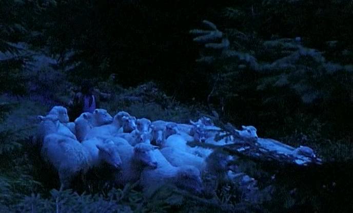 Фильм Неясная весть о конце света (1997)
