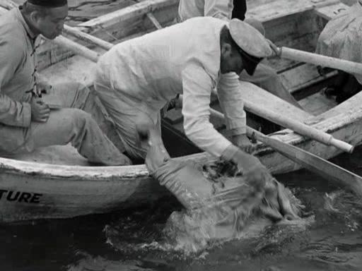Фильм Сын Кинг Конга (1933)
