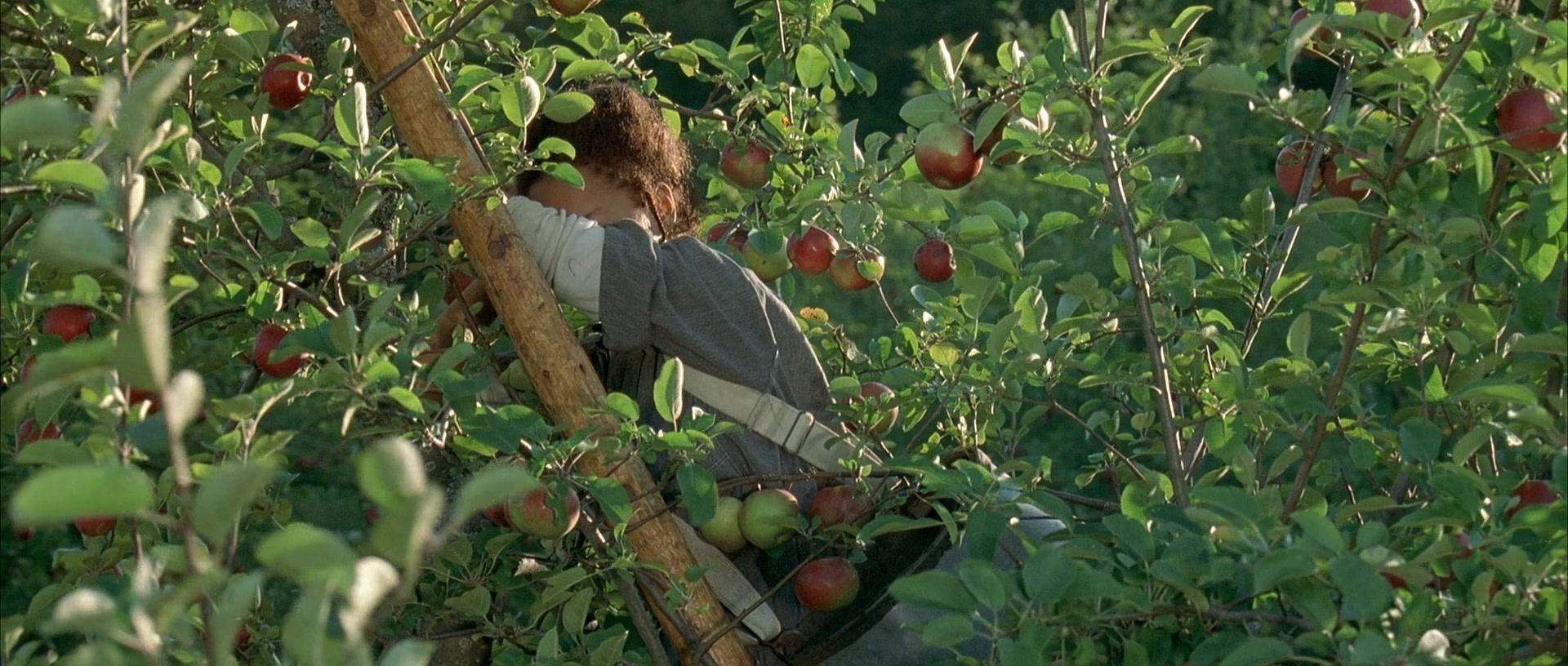 Фильм Правила виноделов (1999)