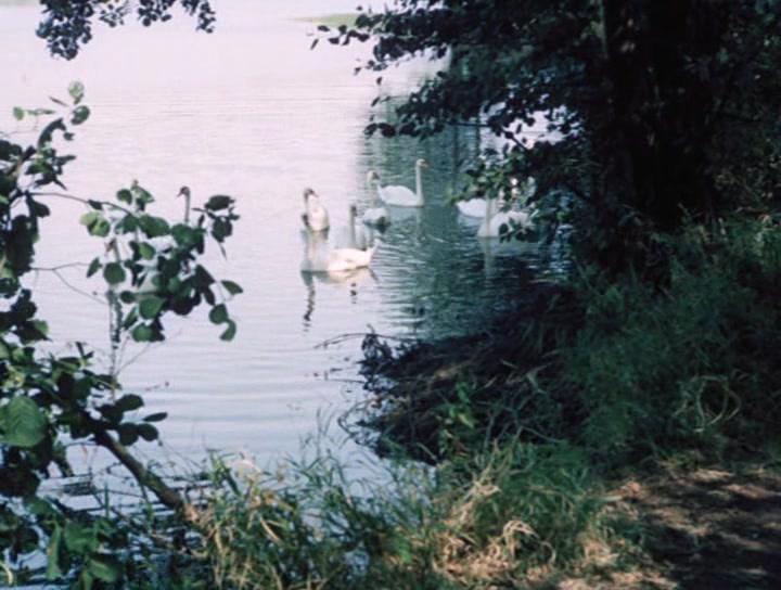 Фильм Взрыв будет в пять (1984)