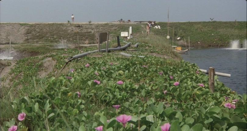 Фильм Бродячий пёс: Бронеотряд «Кербер» (1991)