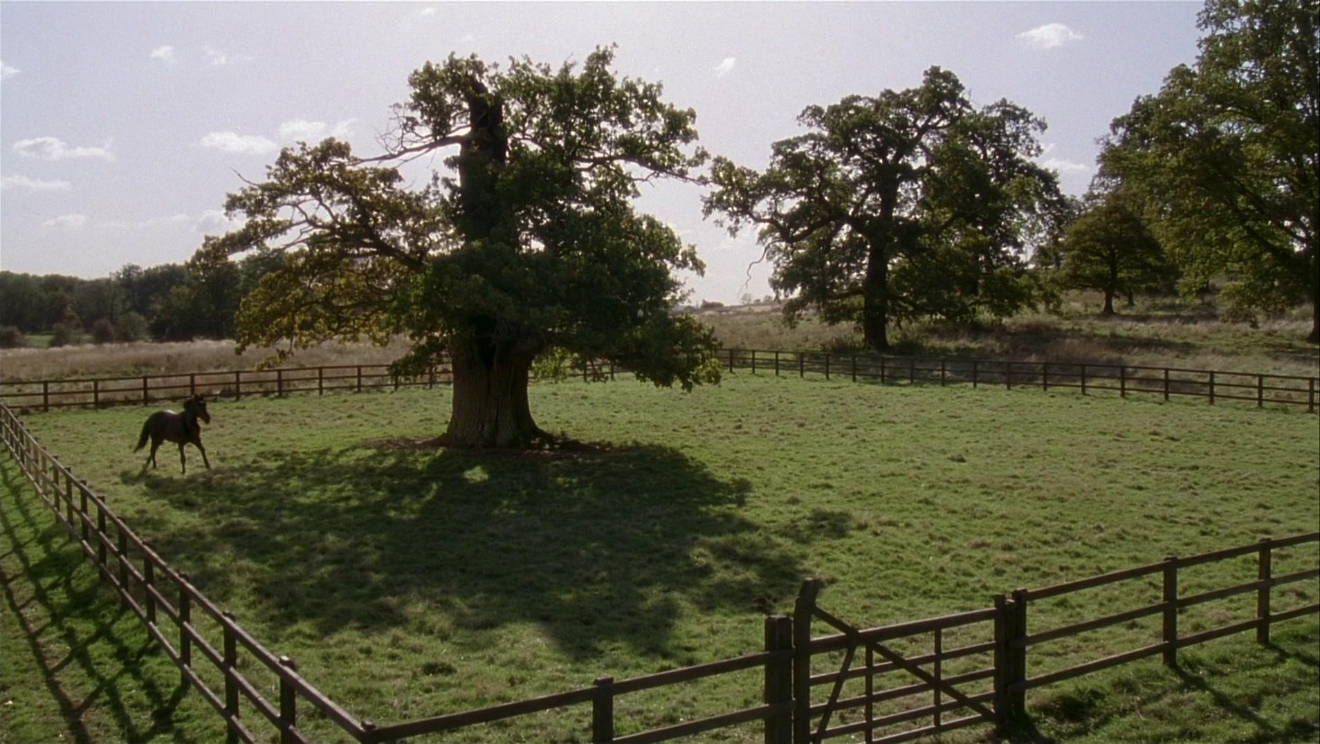 Фильм Черный красавец (1994)