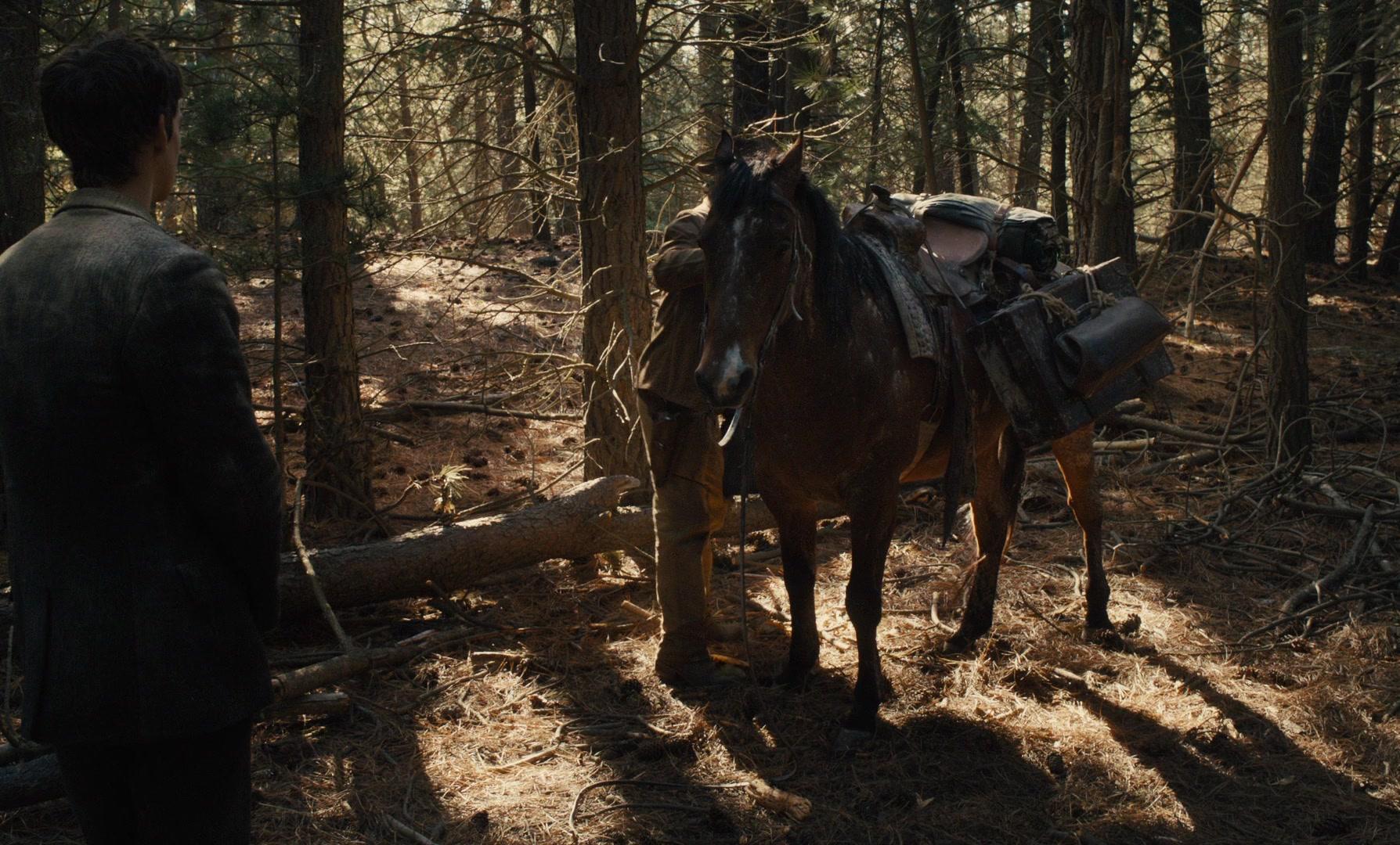 Фильм Строго на запад (2015)