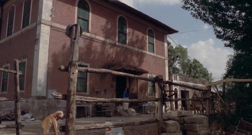 Фильм Дикие псы (1974)