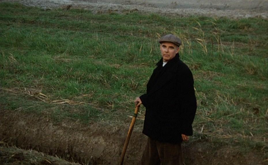 Фильм Солдаты королевы (1977)