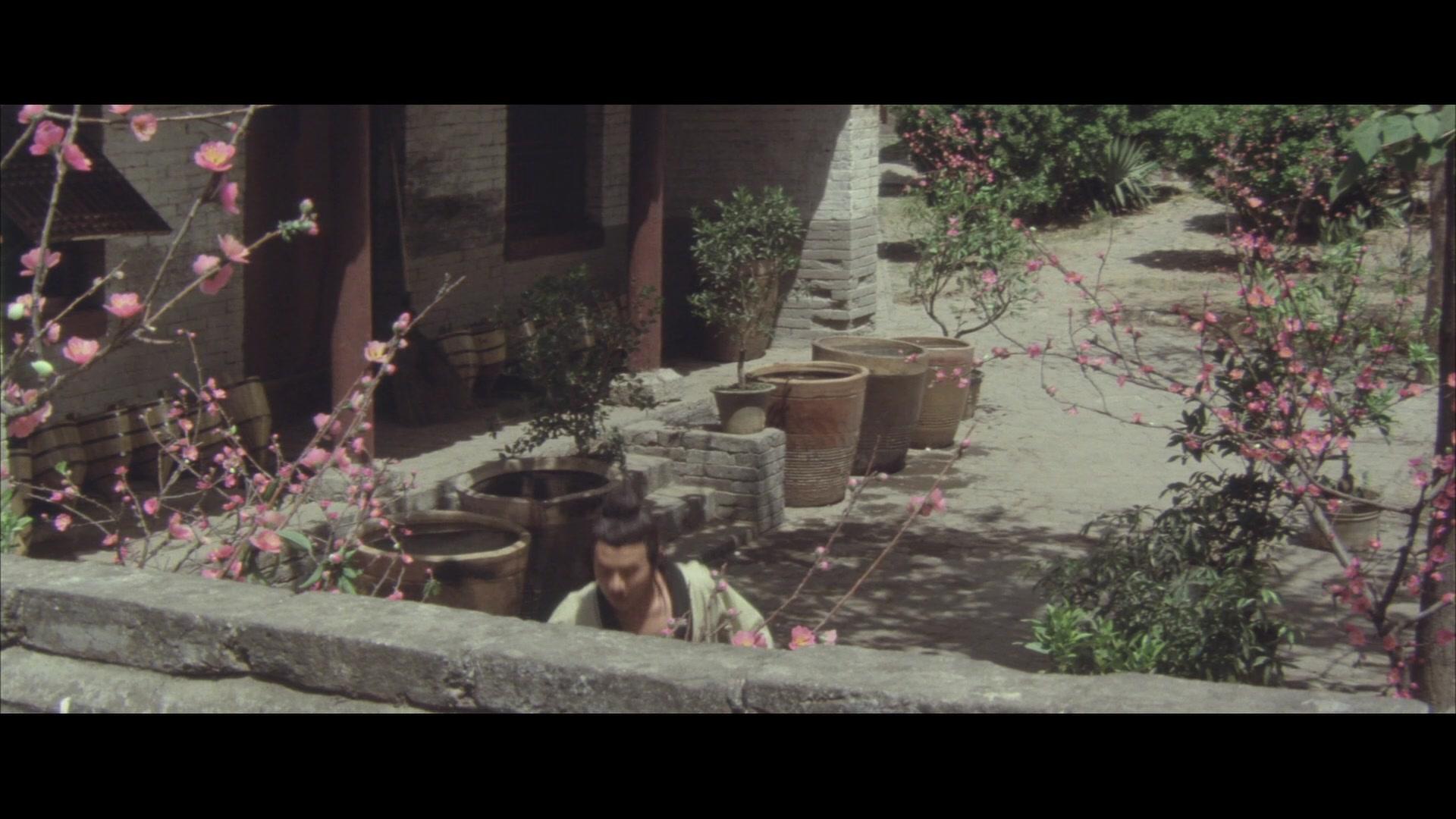 Фильм Храм Шаолинь (1982)