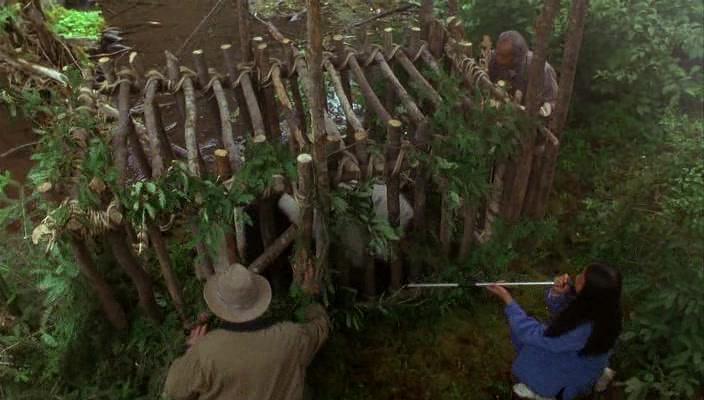 Фильм Удивительное приключение панды (1995)