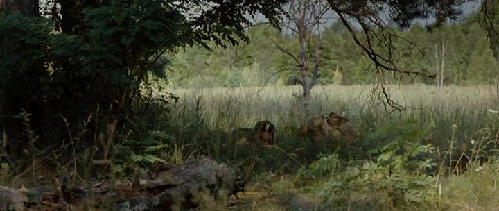 Фильм Счастье мое (2010)