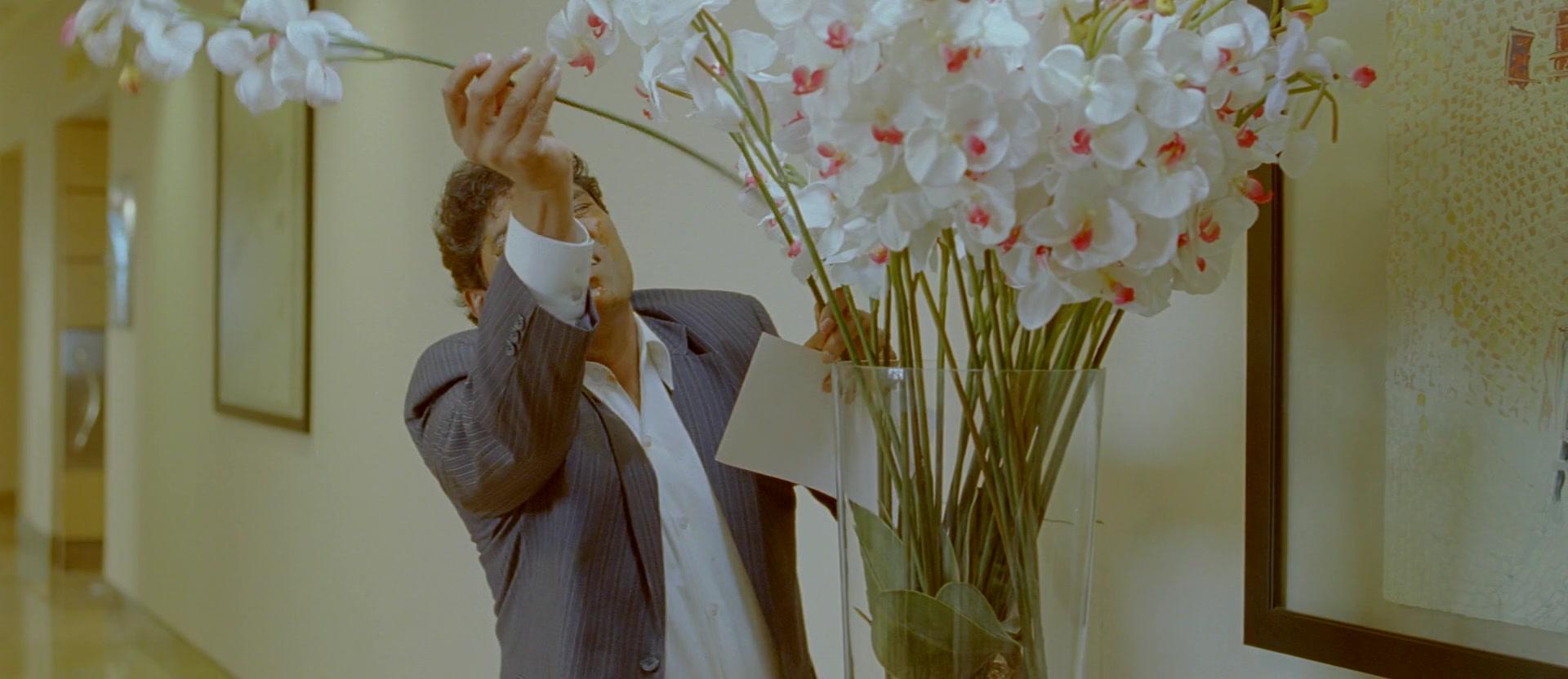 Фильм Большой переполох (2009)