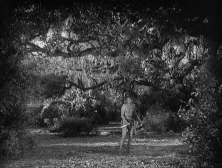 Фильм Тарзан: Человек-обезьяна (1932)