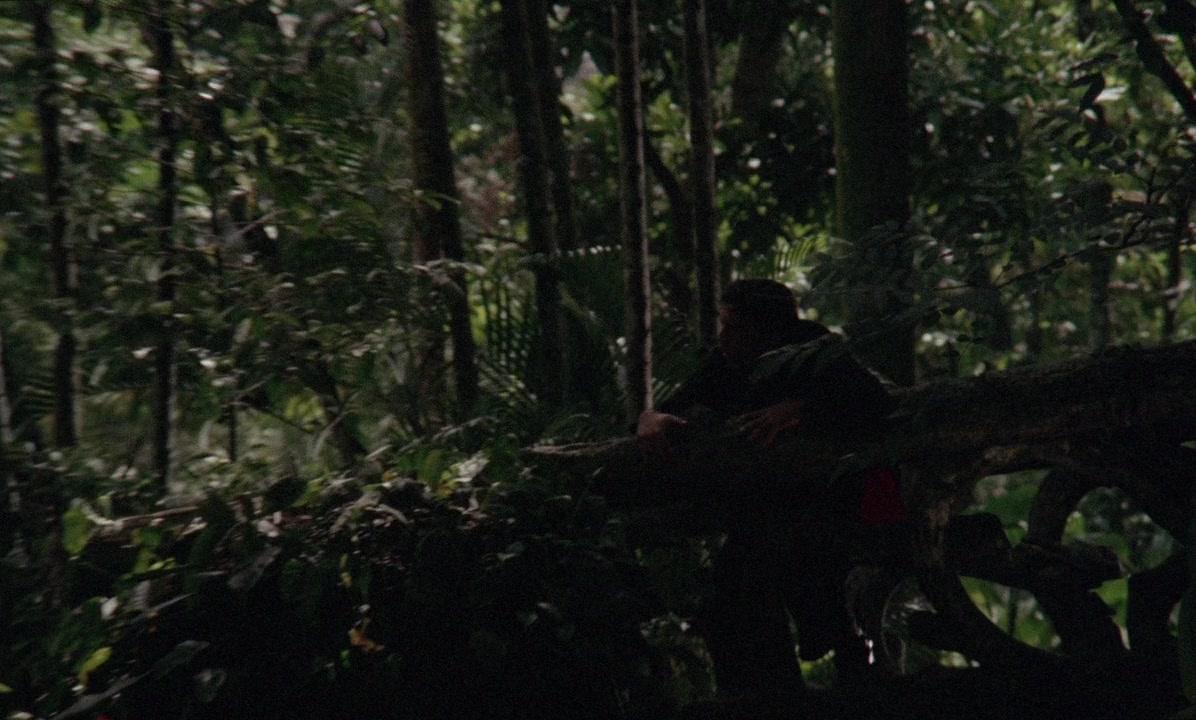Фильм Кровь Фу Манчу (1968)