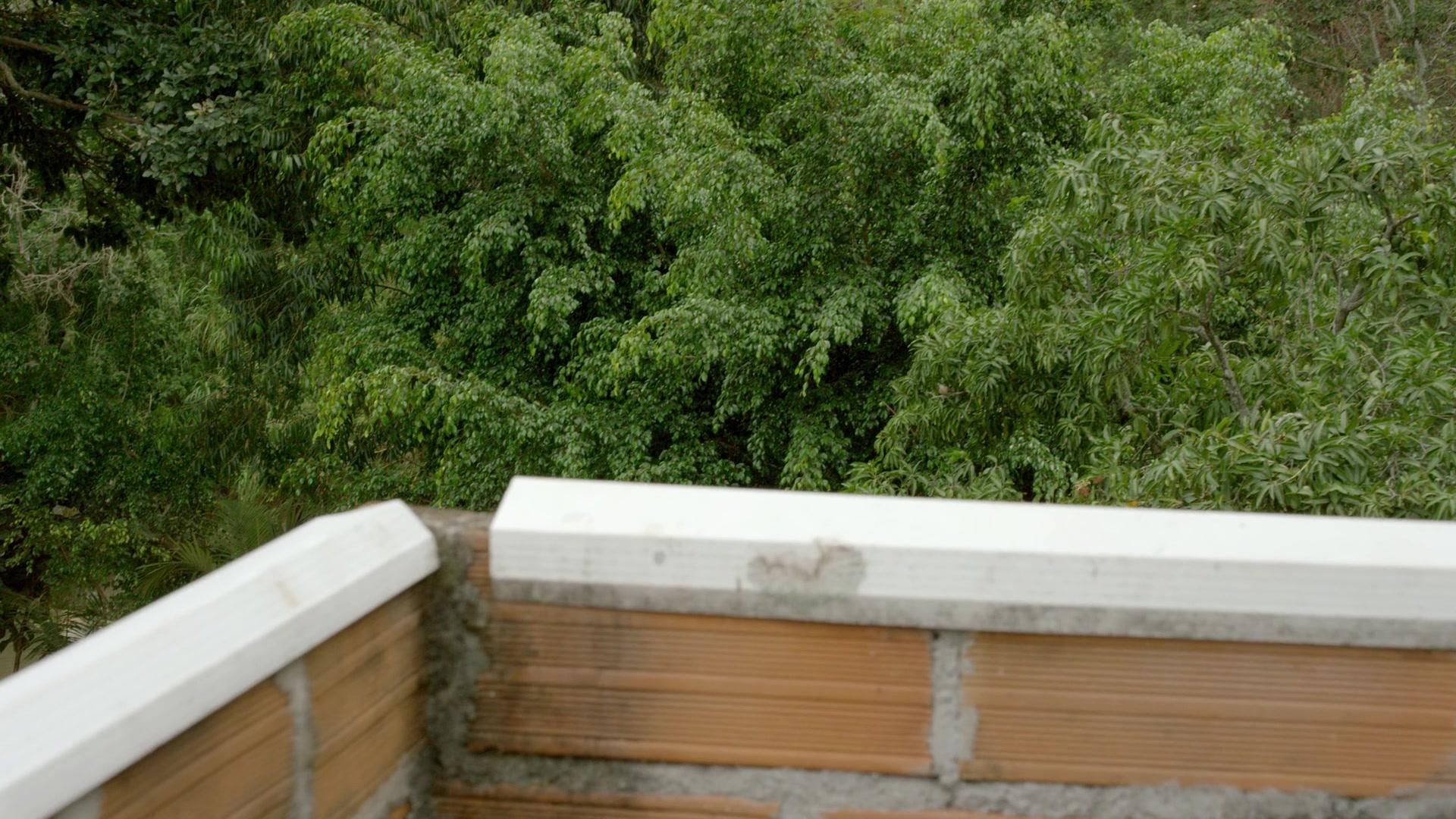 Сериал Нарко (2015) 2 сезон 10 эпизод