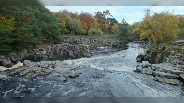 Волет Мейр - 7 серия, 2 сезона, сериала Ведьмак (2019)