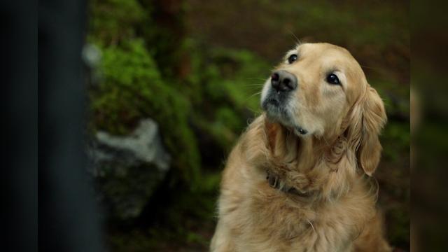 Последняя война - 16 серия, 7 сезона, сериала Сотня (2014)