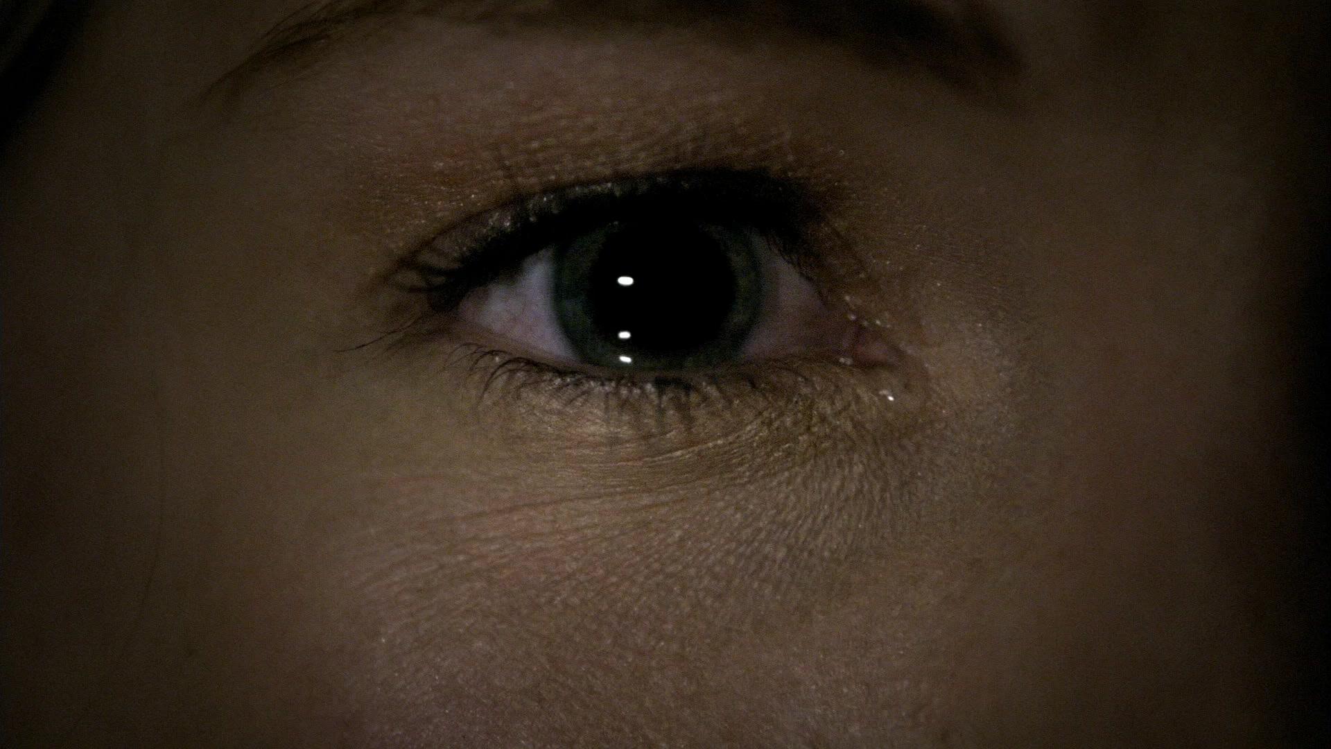 Сериал Дневники вампира (2009) 2 сезон 6 эпизод
