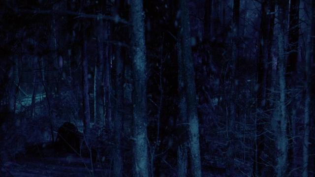 Птичка в позолоченной клетке - 17 серия, 6 сезона, сериала Дневники вампира (2009)