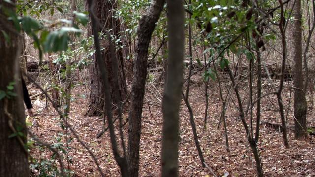 City Beneath the Sea - 20 серия, 2 сезона, сериала Древние (2013)