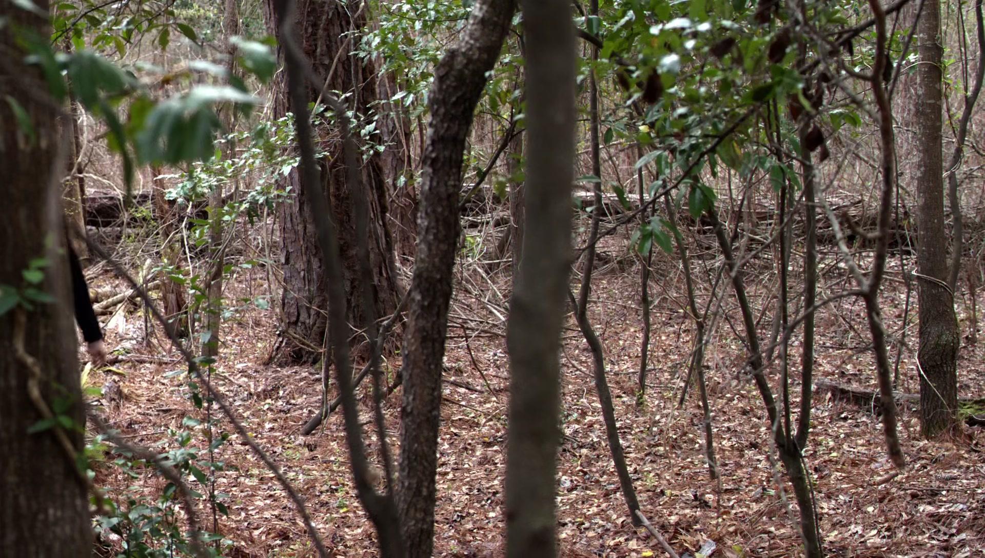 Сериал Древние (2013) 2 сезон 20 эпизод