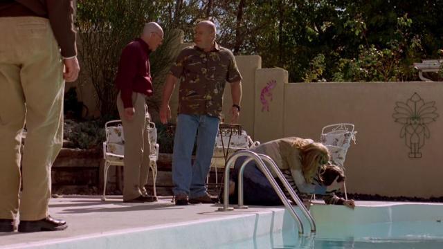 Всё - 10 серия, 2 сезона, сериала Во все тяжкие (2008)