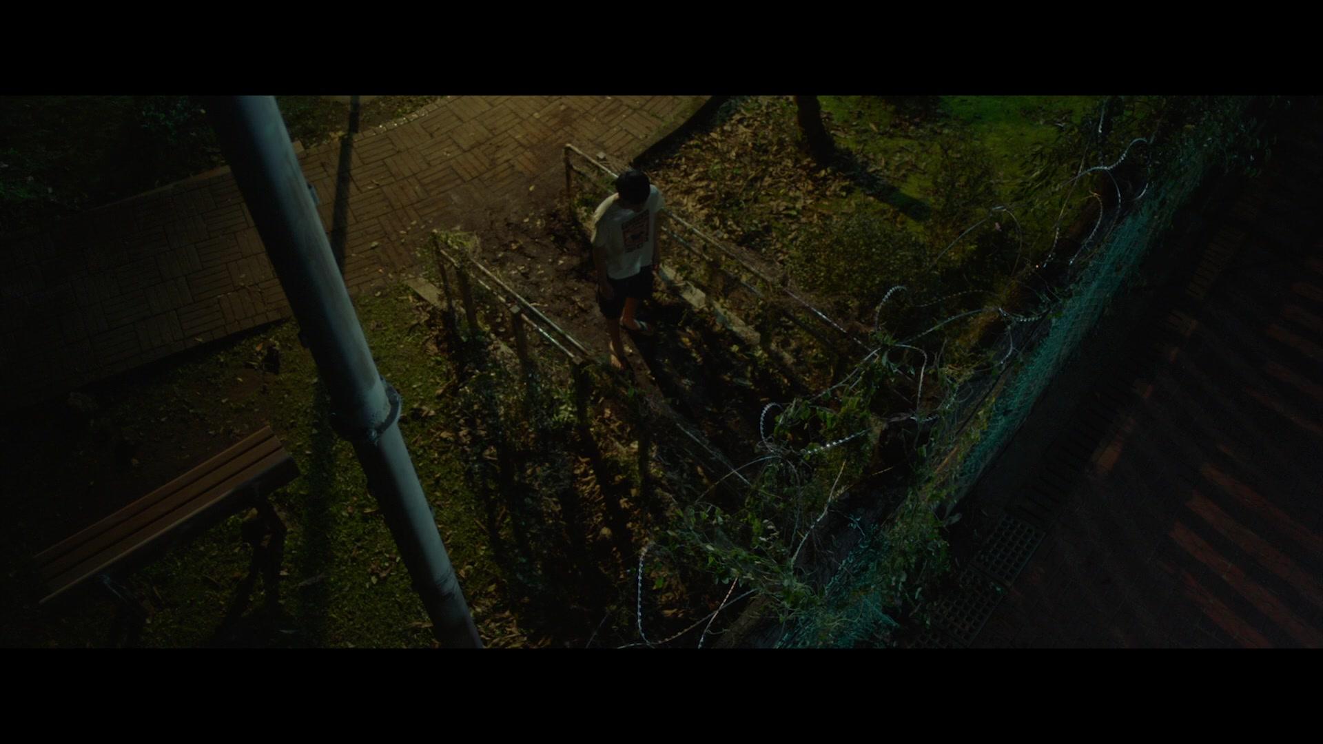 Фильм Тихий лес (2020)