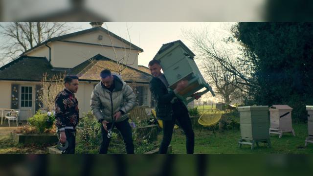 Пчёлы - 7 серия, 3 сезона, сериала Голяк (2019)