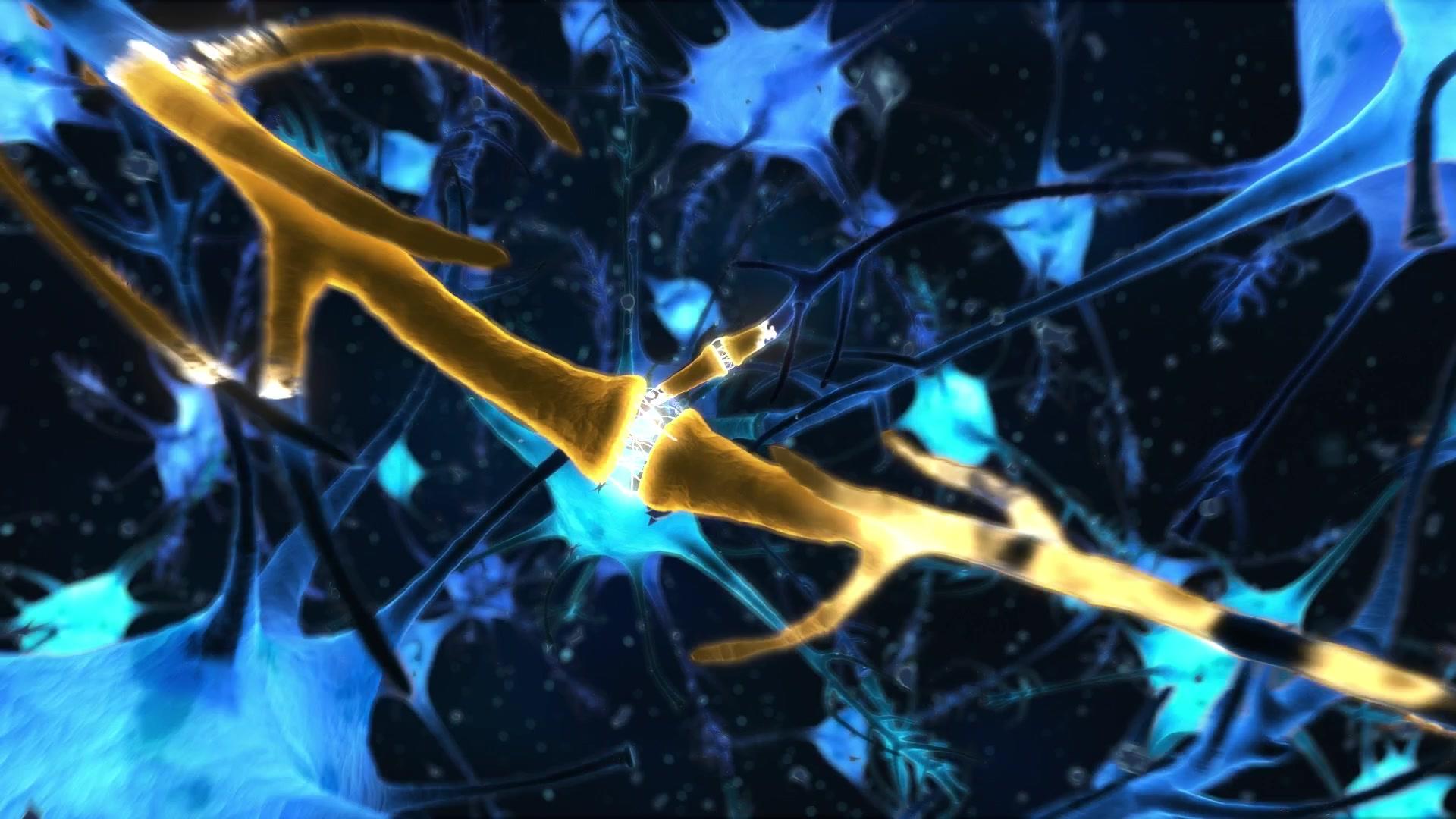 Фильм Супер Рино (2009)