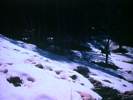 Фильм Выжившие в Андах (1976)