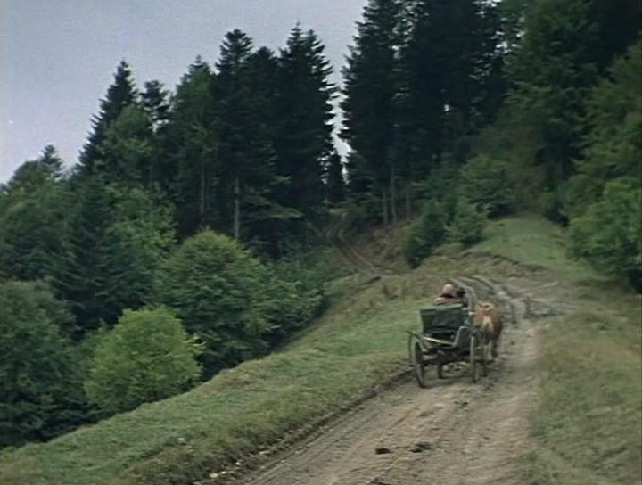 Фильм Карпатское золото (1991)