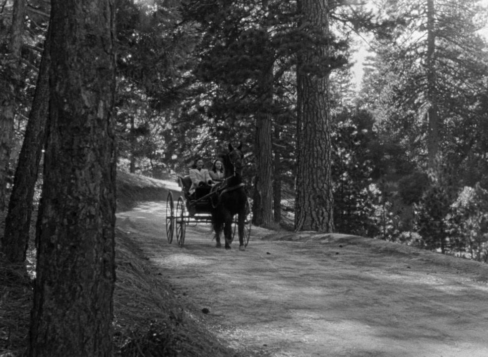 Фильм Другая любовь (1947)