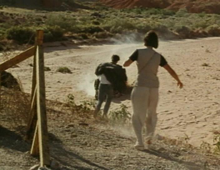 Фильм Цветок у дороги (1993)