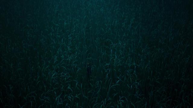 The Tall Grass - 5 серия, 2 сезона, сериала Любовь. Смерть. Роботы (2019)