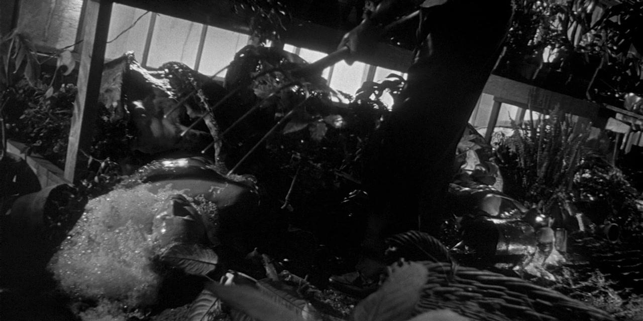 Фильм Вторжение похитителей тел (1955)