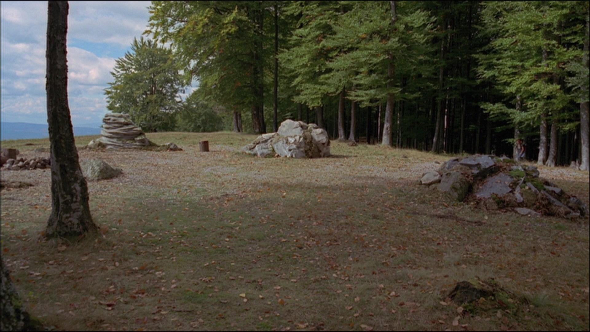 Фильм Чужой лес (2007)