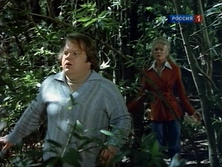 Фильм Стая (1977)