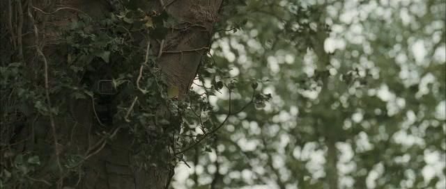 Фильм Бычара (2011)