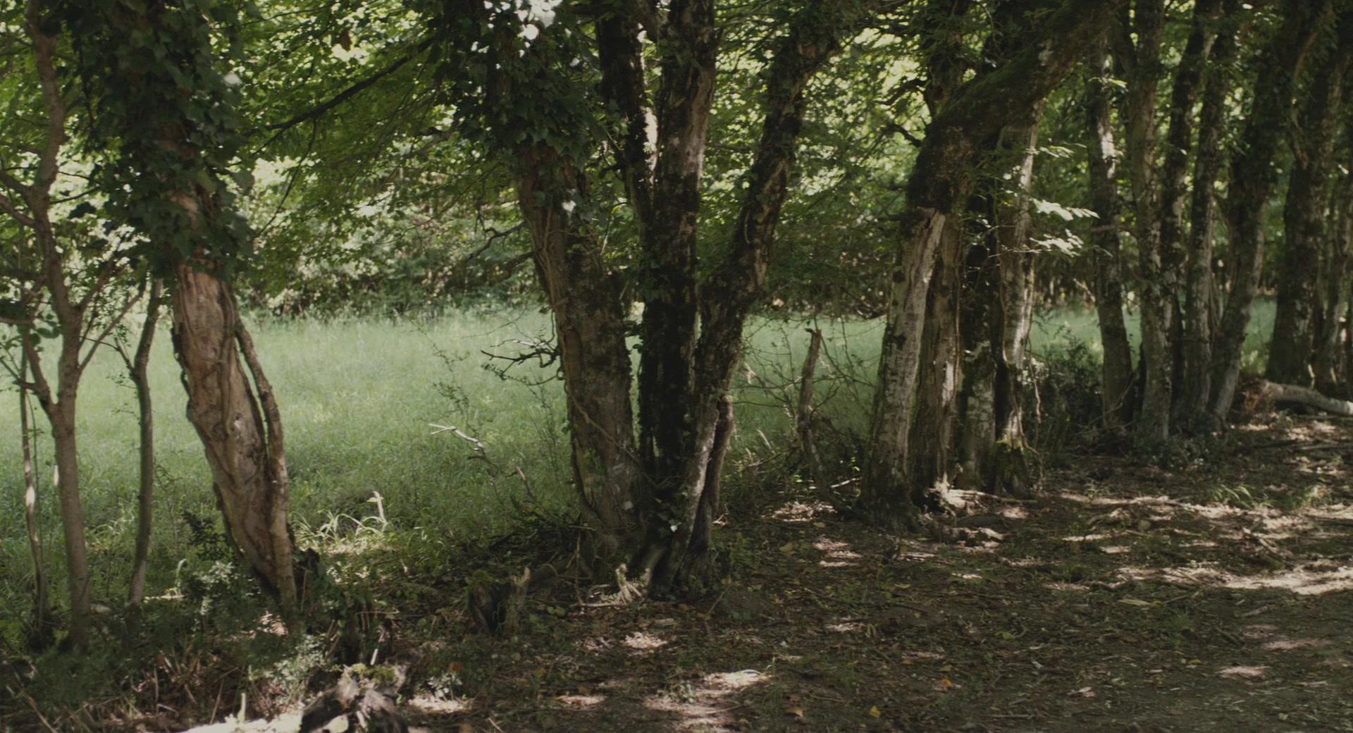 Фильм Кошмар за стеной (2011)