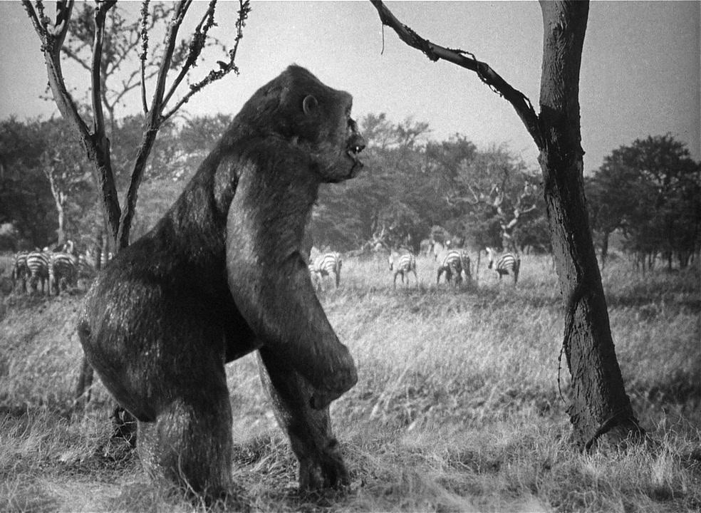 Фильм Могучий Джо Янг (1949)