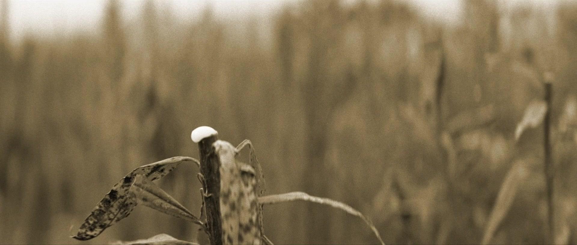 Фильм Эврика (2000)