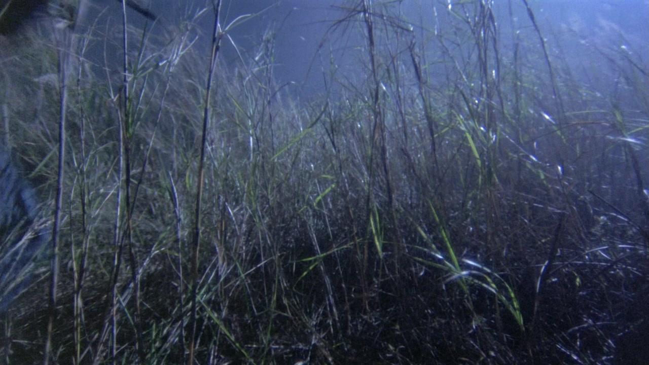 Фильм Легенда о фехтовальщике (1992)