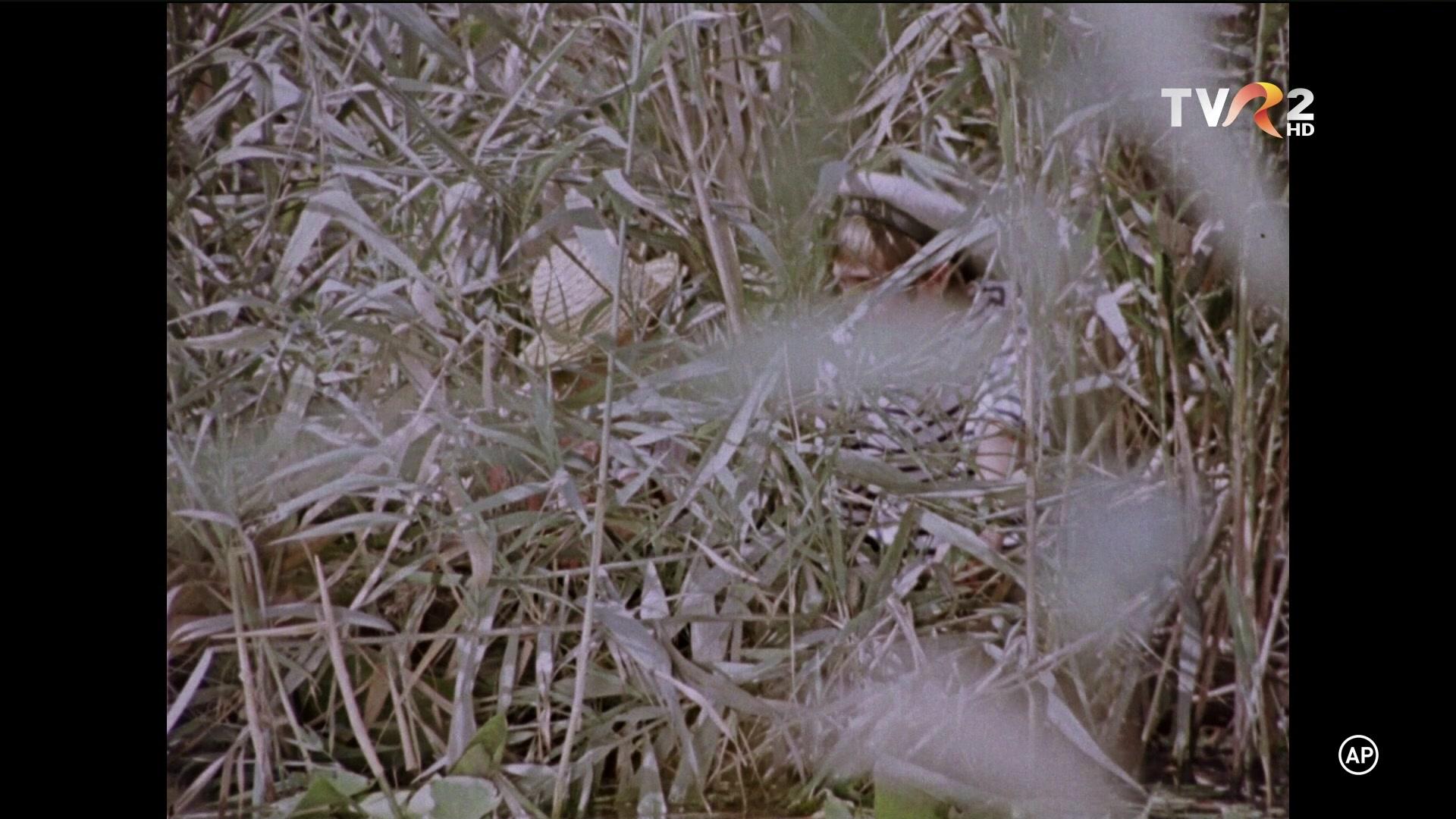 Фильм Провал «Голубой змеи» (1973)