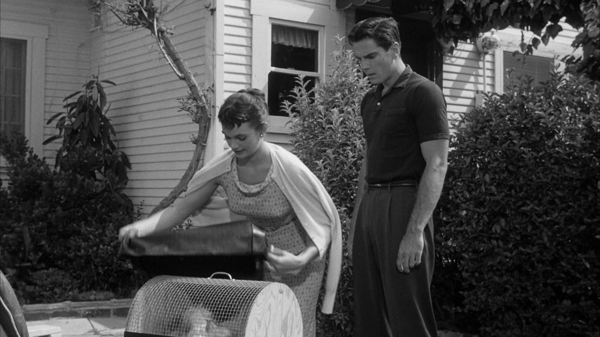 Фильм Я вышла замуж за монстра из космоса (1958)