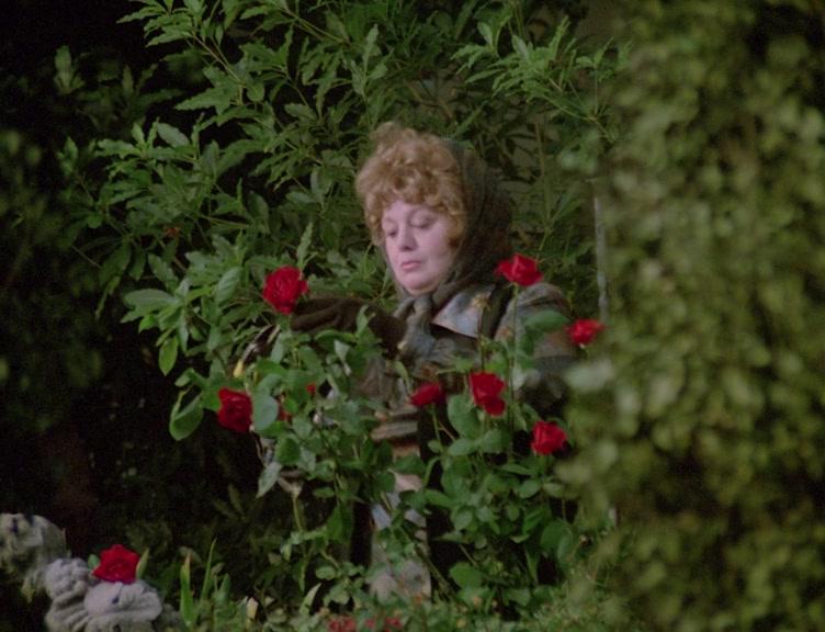 Фильм Посвящение Сары (1978)