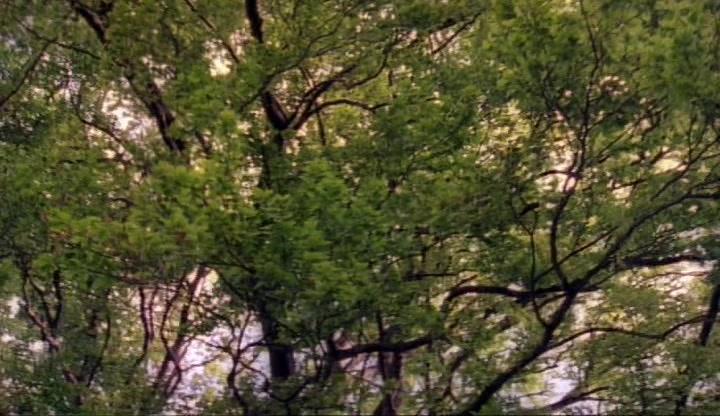Фильм Под деревом зеленым (2005)
