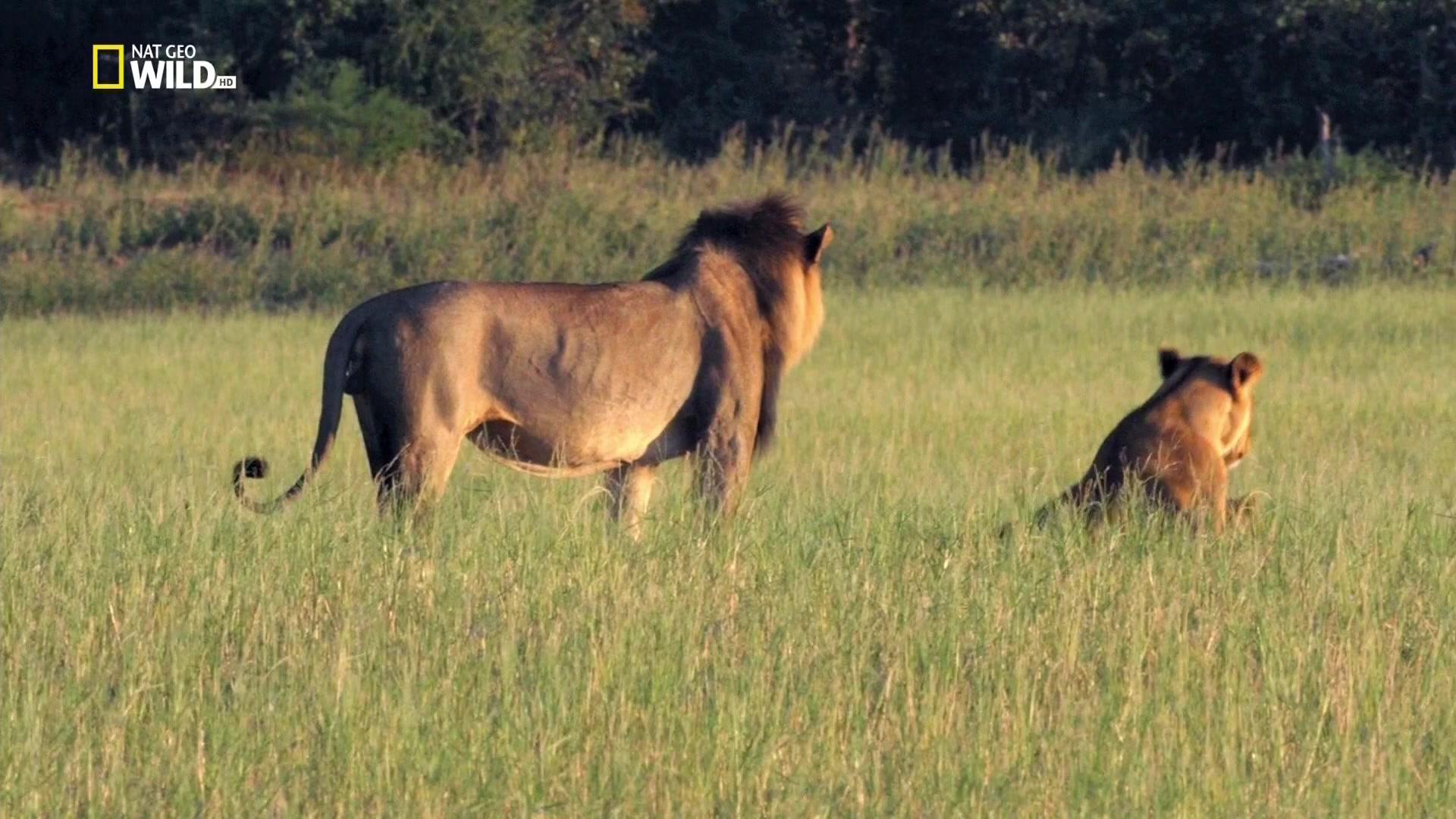 Фильм Убийцы с большого озера (2015)