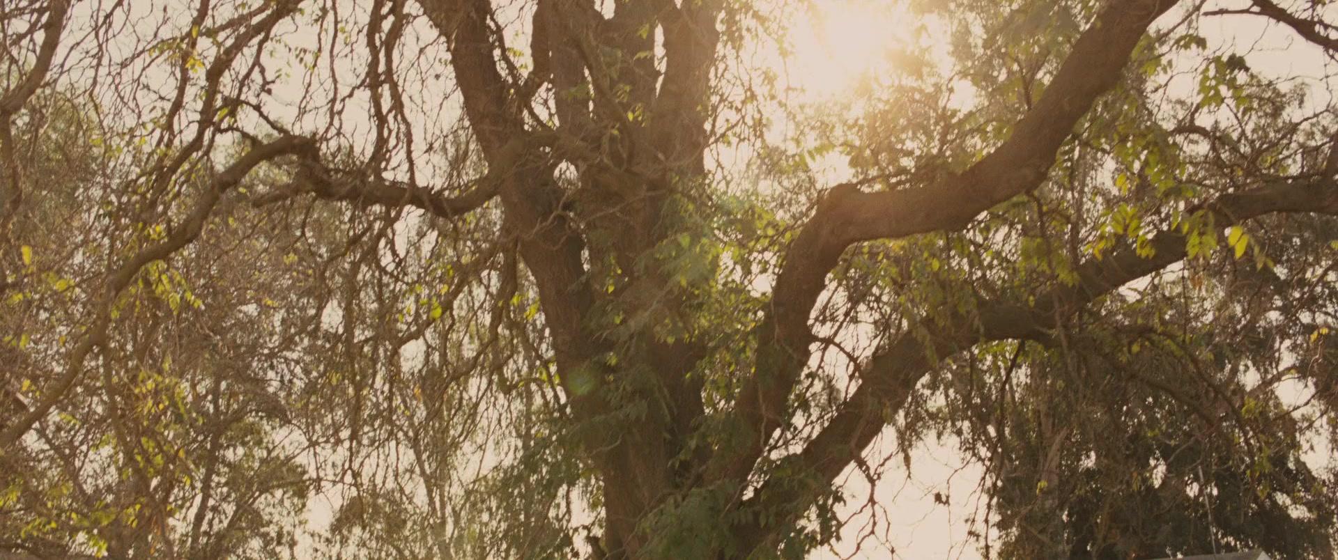 Фильм Тренер (2014)