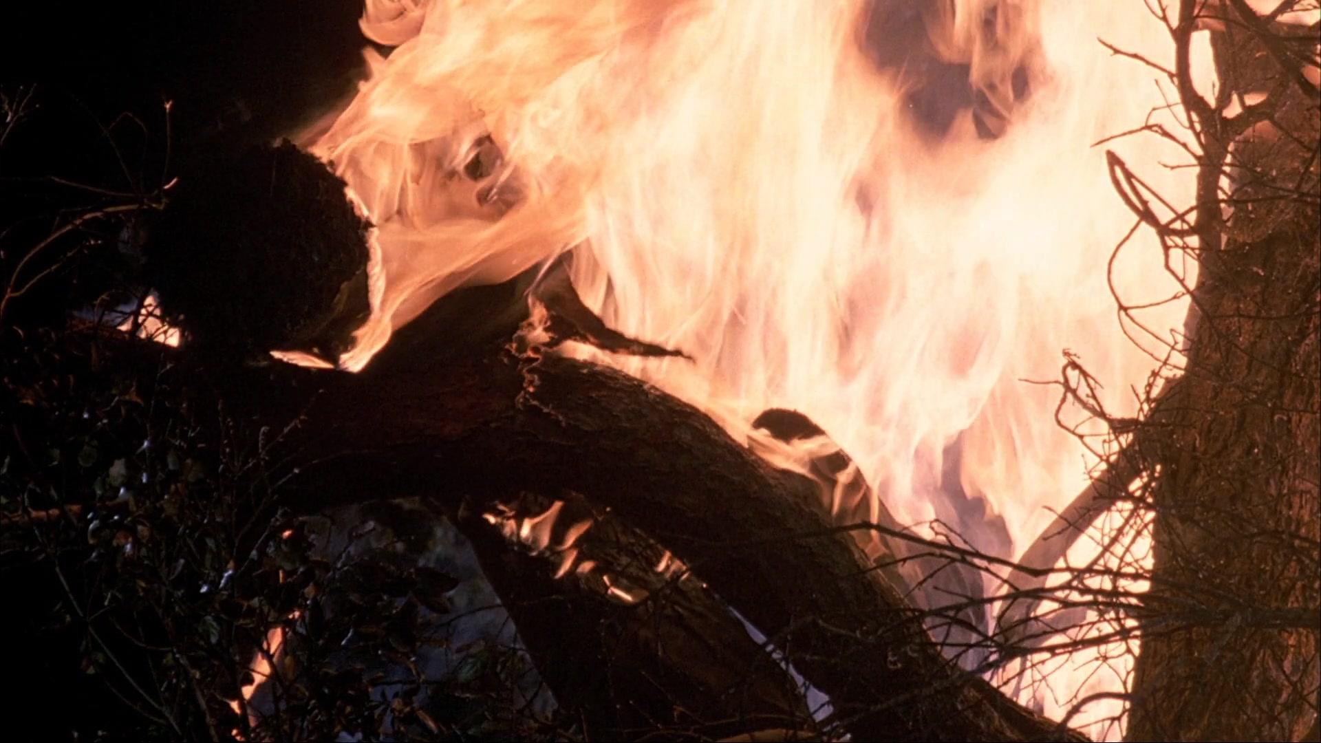 Фильм Мститель 2 (1984)