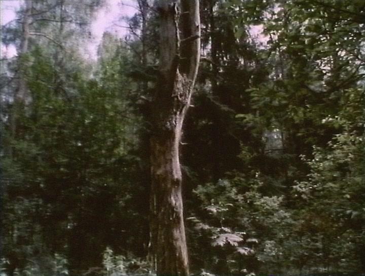 Фильм Кешка и гуманоид (1993)