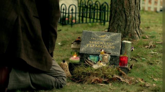 The Rise And Fall Of Ethnic Man - 4 серия, 3 сезона, сериала Зовите меня Фитц (2010)